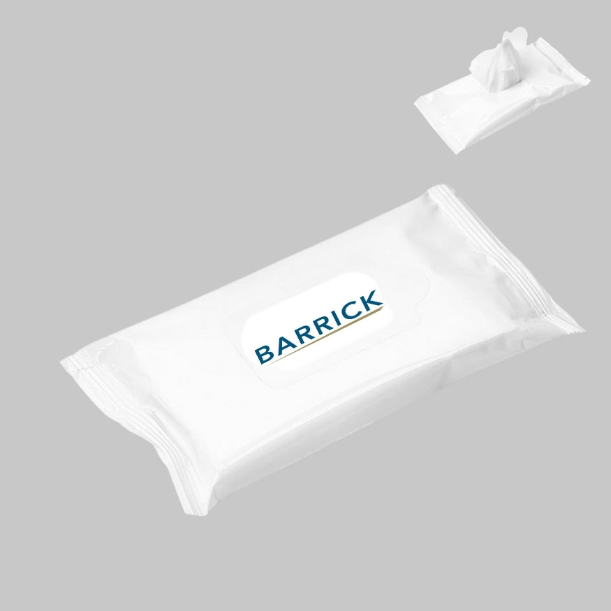 Altitude Go-Bac Wet Wipes - 10 sheets